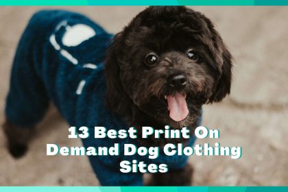 13 Print On Demand Dog Clothing Sites & How To START