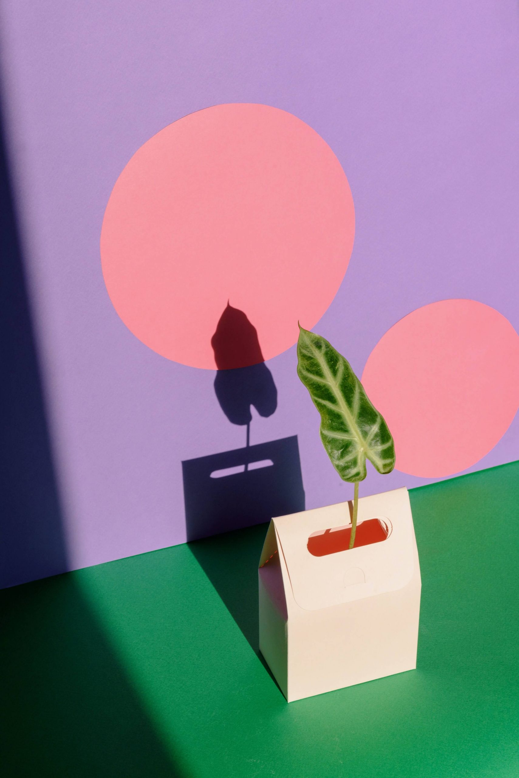 8 Print On Demand Wrapping Paper Companies Passive Marketeer